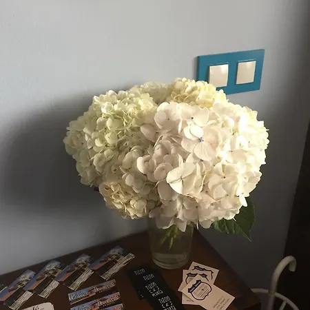 Rurales La Aguilera Ovinana (Cudillero)