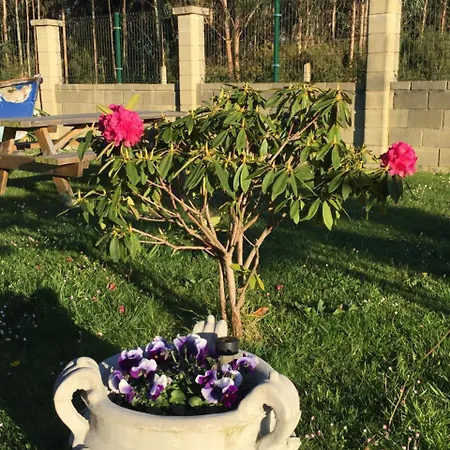 Rurales La Aguilera Ovinana (Cudillero)